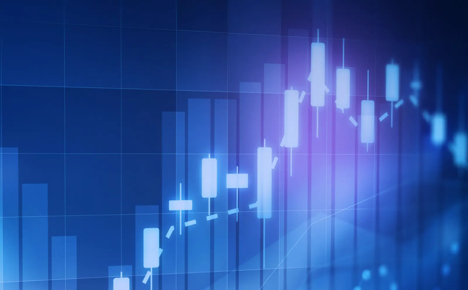 株主・投資家情報