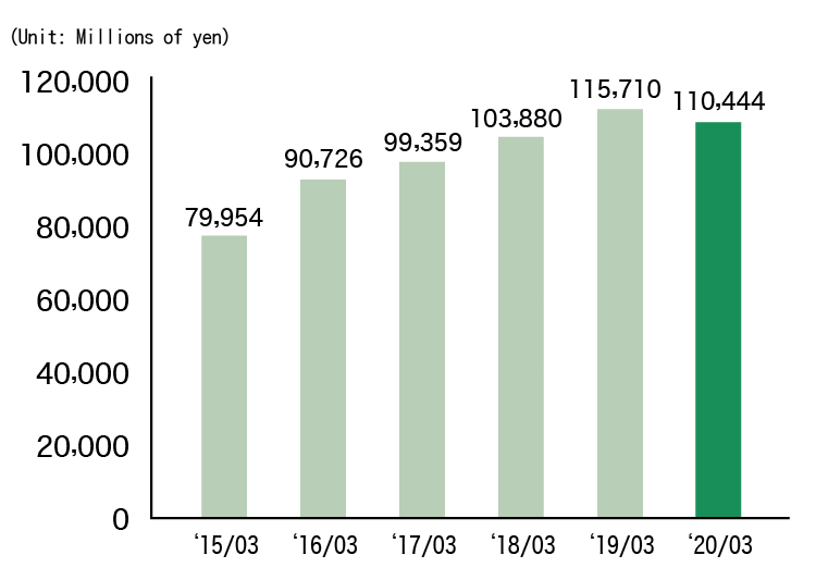 Net sales (Consolidated)